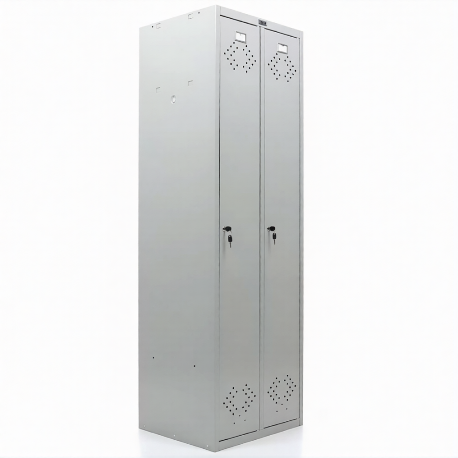 Шкаф ПРАКТИК МД LS(LE)-21